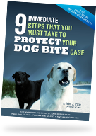 9 Immediate Steps That You Must Take To Protect Your Dog Bite Case